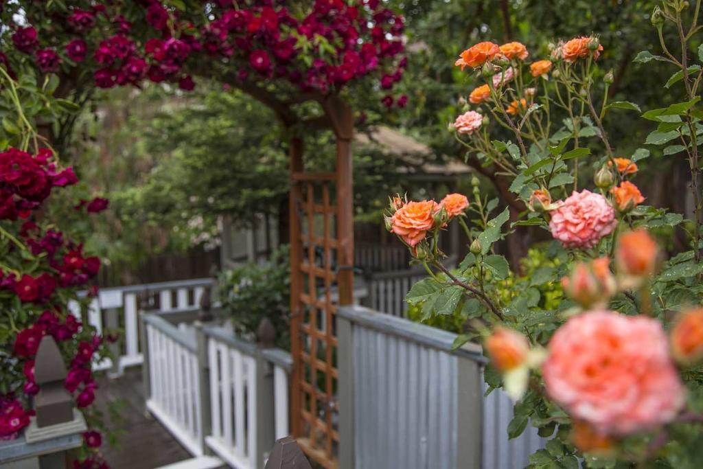 סנטה אינז Forfriends Inn Wine Country Bed And Breakfast מראה חיצוני תמונה